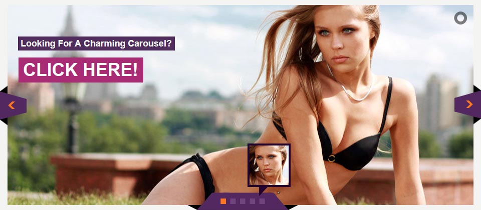 Website Boxed Size - Banner Roatator - Attractive Skin