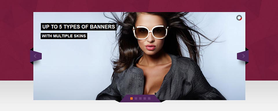Banner Rotator - Website Boxed Size - Attractive Skin